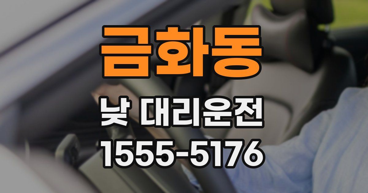 금화동 낮 대리운전