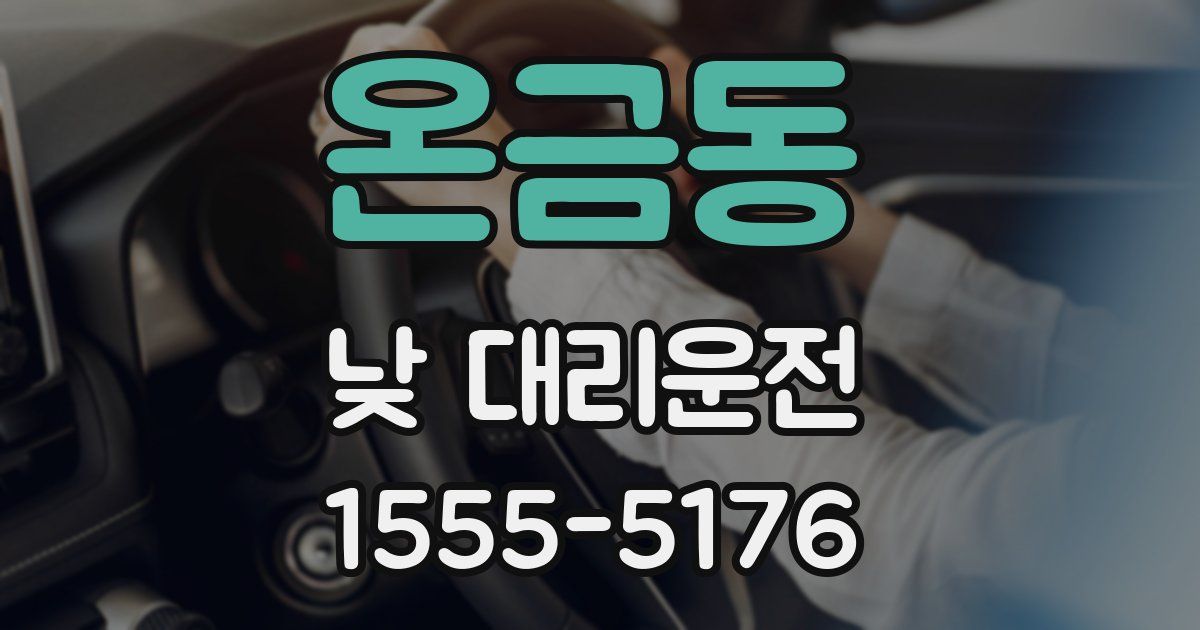 온금동 낮 대리운전