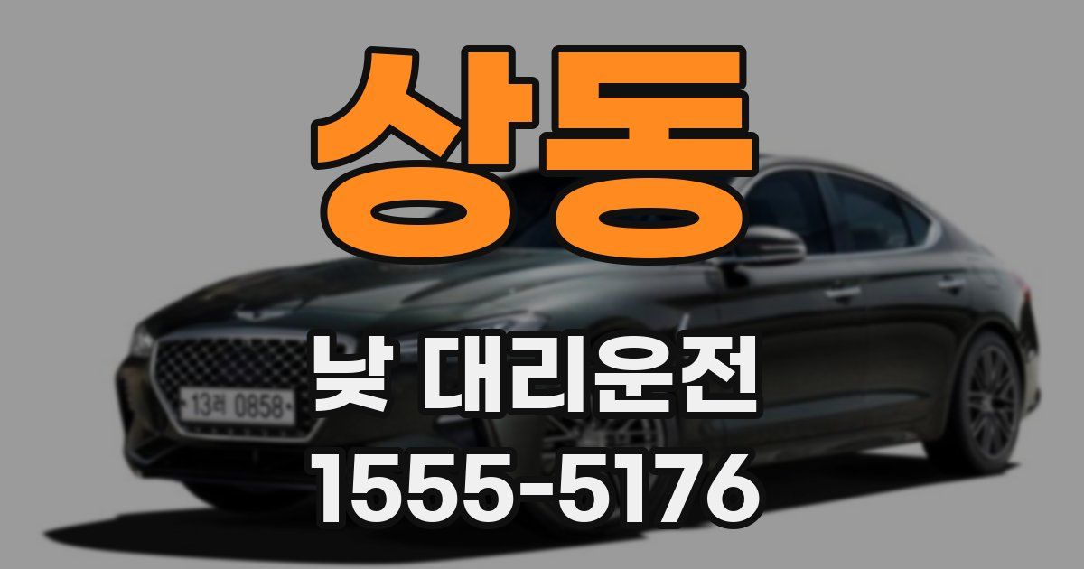 상동 낮 대리운전