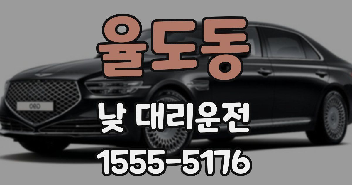 율도동 낮 대리운전