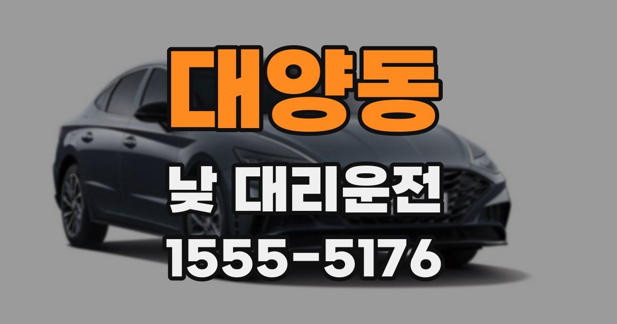 대양동 낮 대리운전