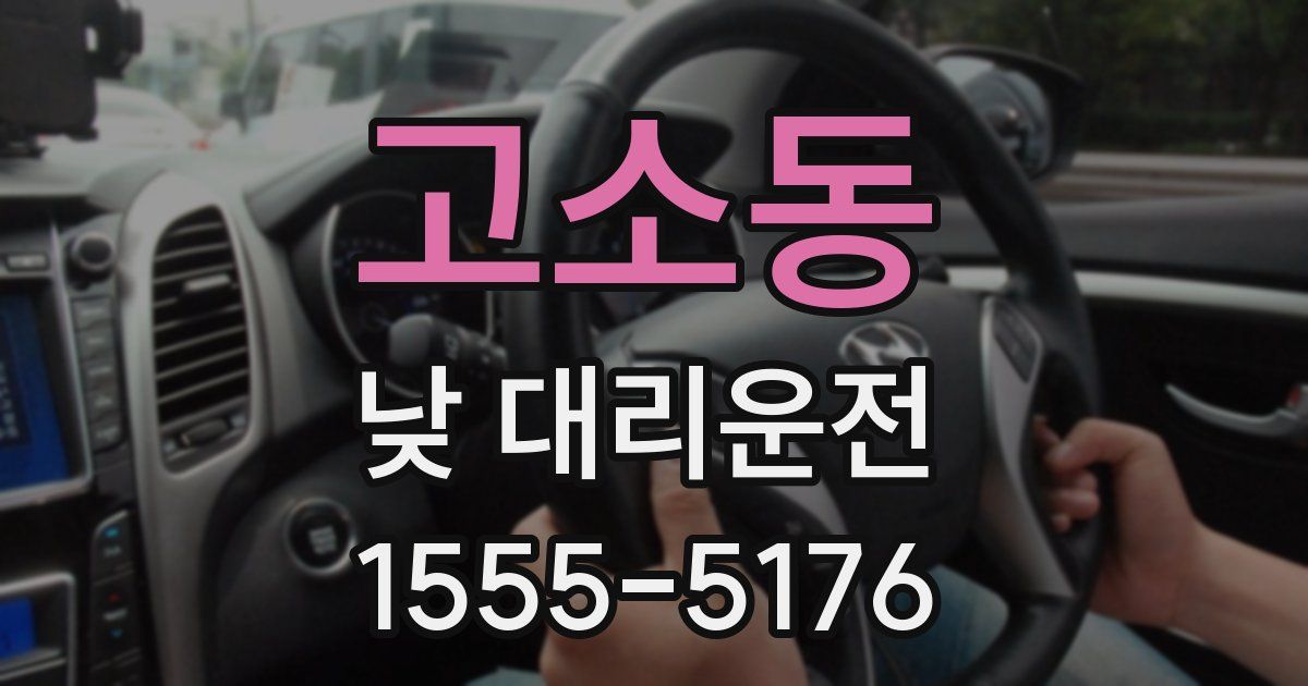 고소동 낮 대리운전