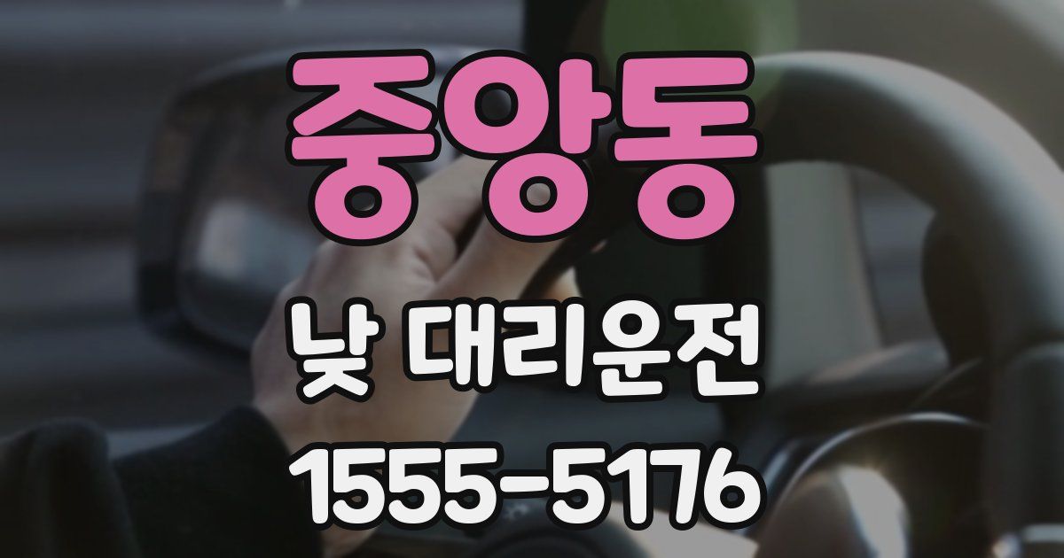 중앙동 낮 대리운전