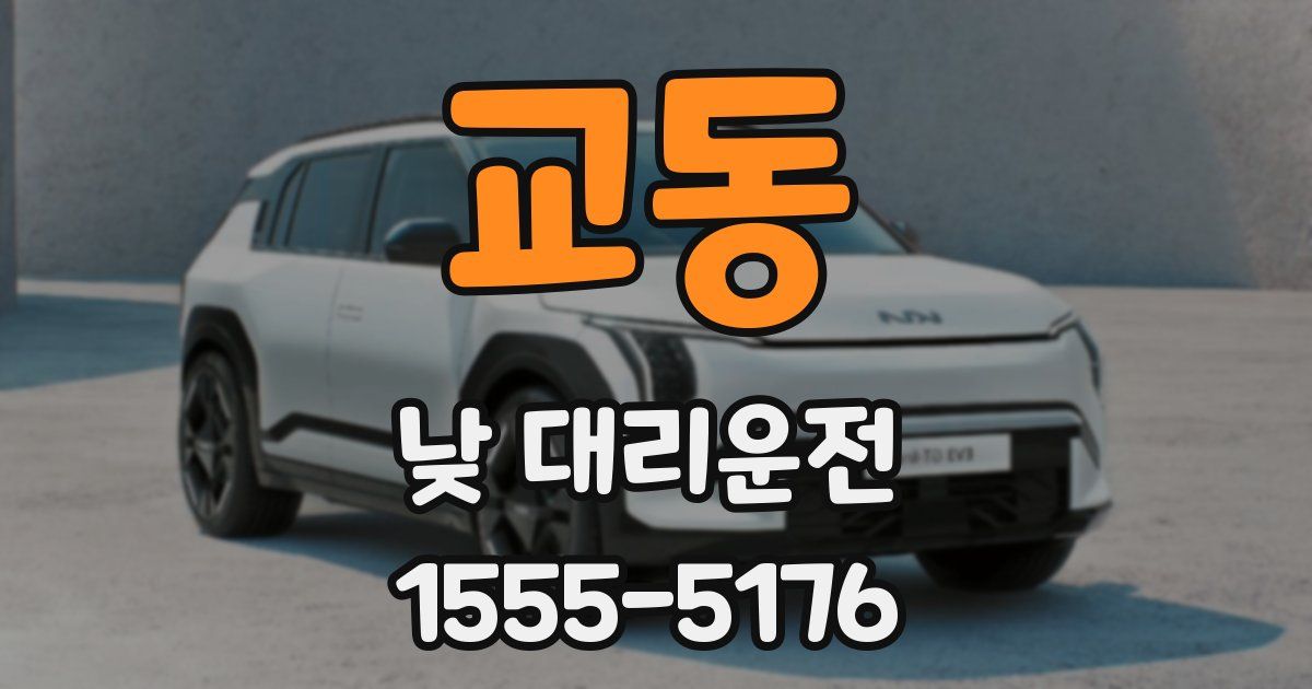 교동 낮 대리운전