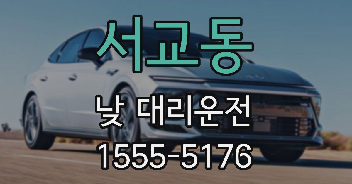 서교동 낮 대리운전