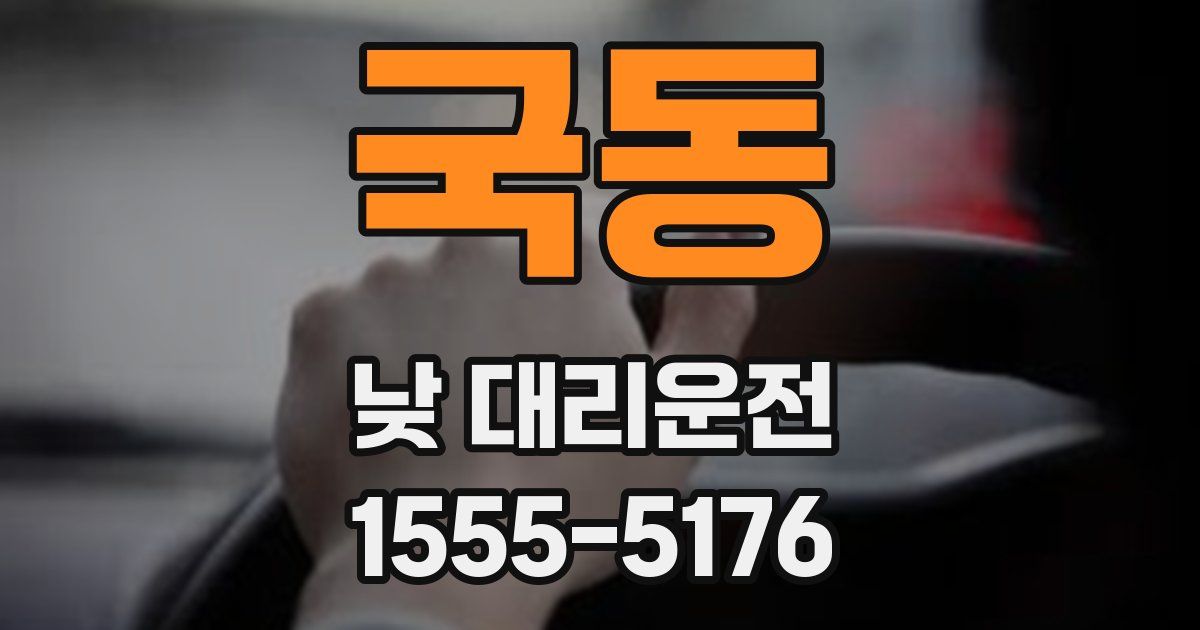 국동 낮 대리운전