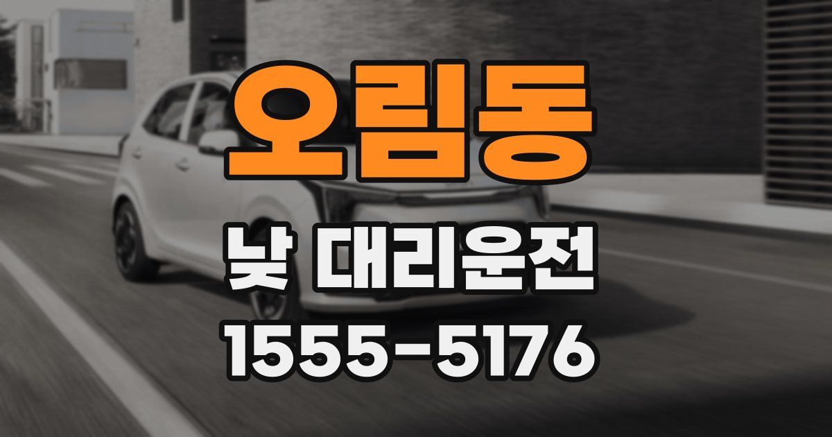 오림동 낮 대리운전