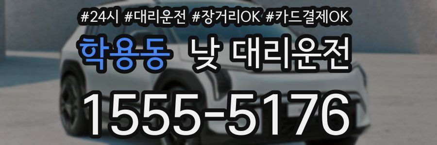 학용동 낮 대리운전
