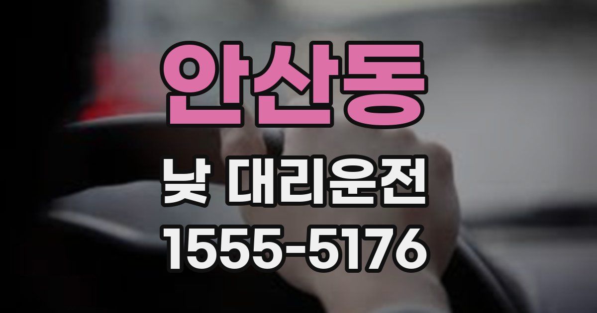 안산동 낮 대리운전