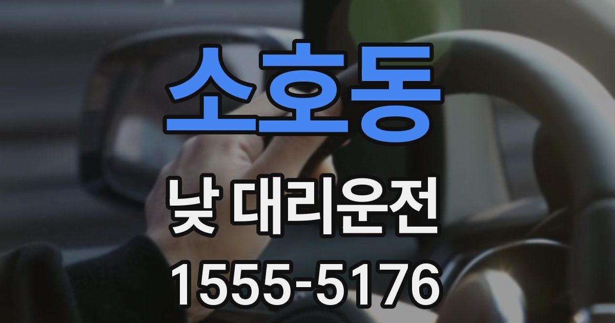 소호동 낮 대리운전