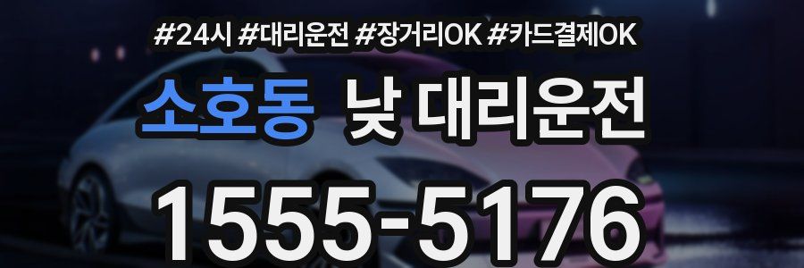 소호동 낮 대리운전