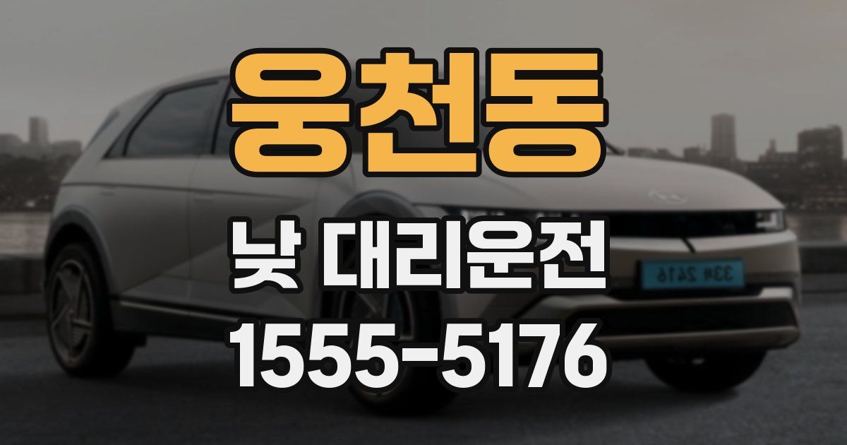 웅천동 낮 대리운전
