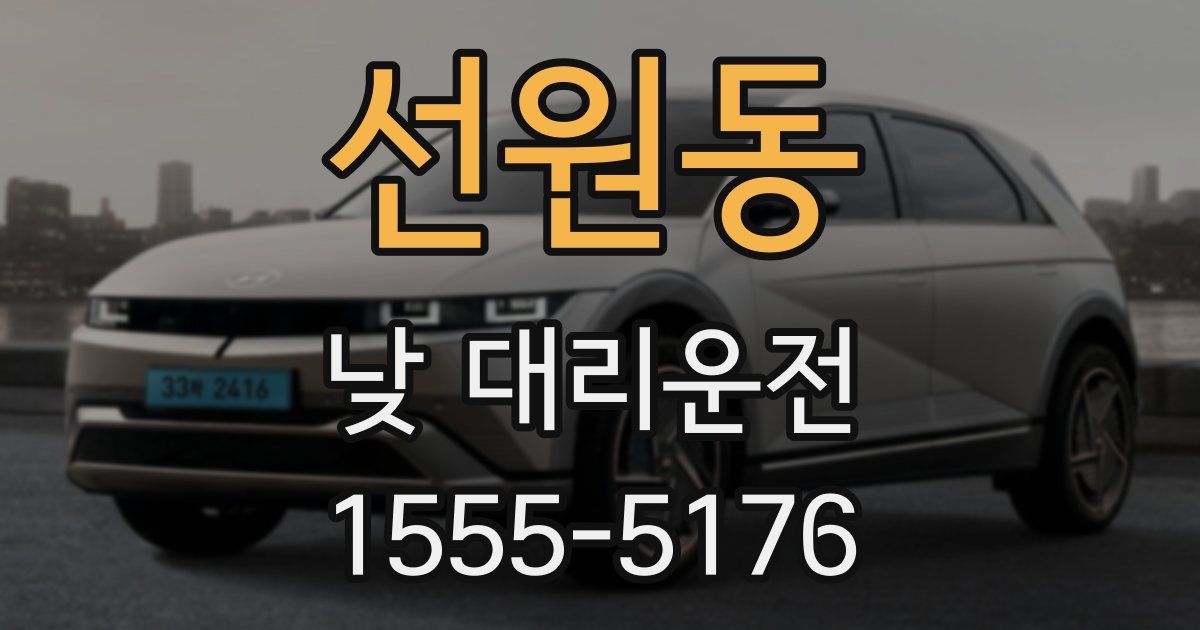 선원동 낮 대리운전