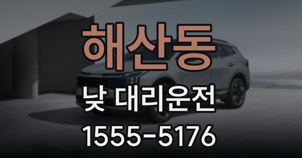 해산동 낮 대리운전