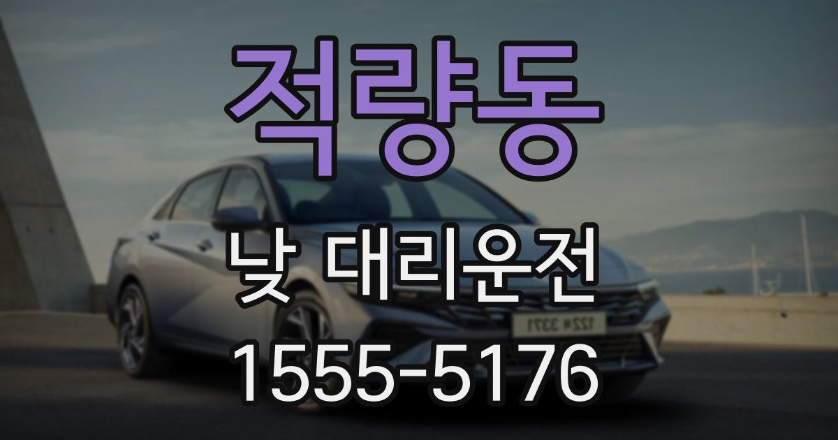적량동 낮 대리운전