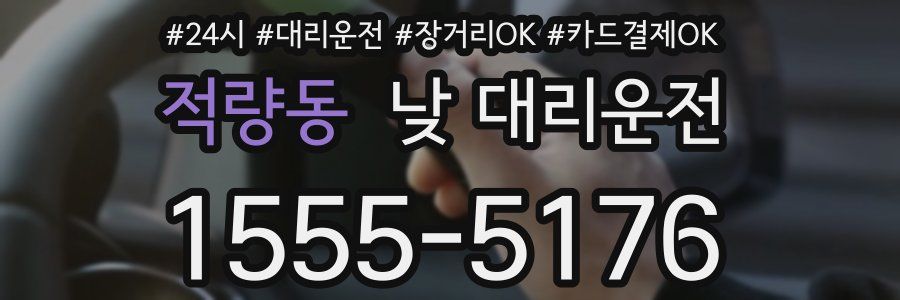적량동 낮 대리운전
