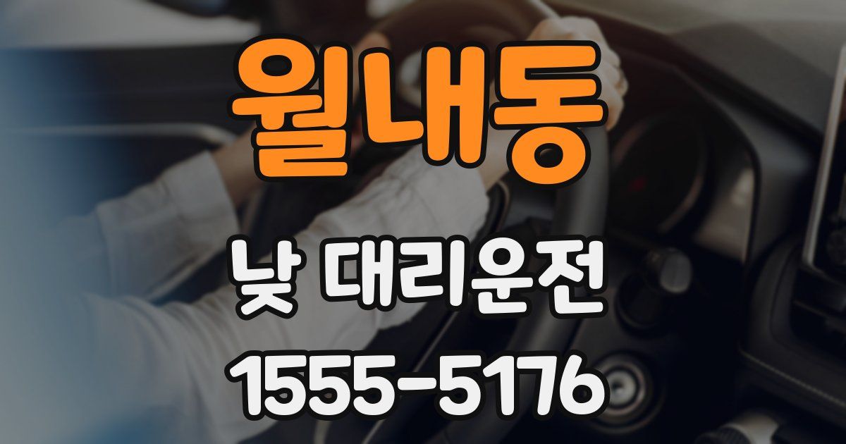 월내동 낮 대리운전