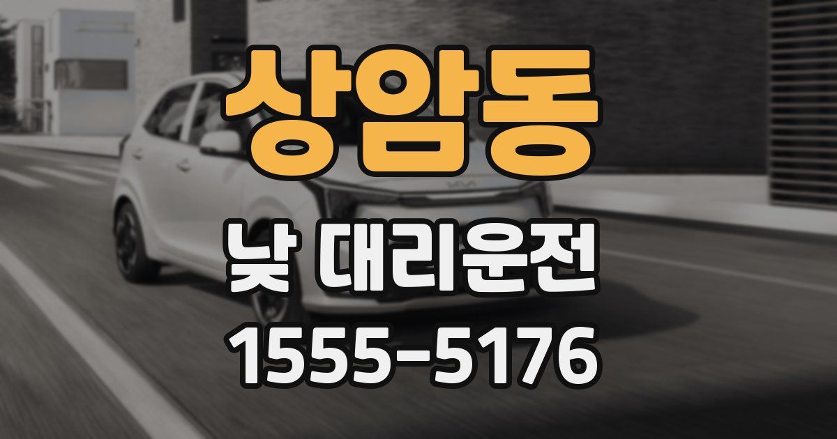 상암동 낮 대리운전