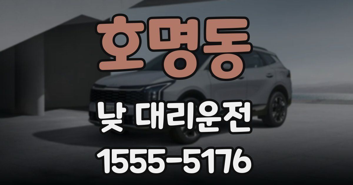 호명동 낮 대리운전