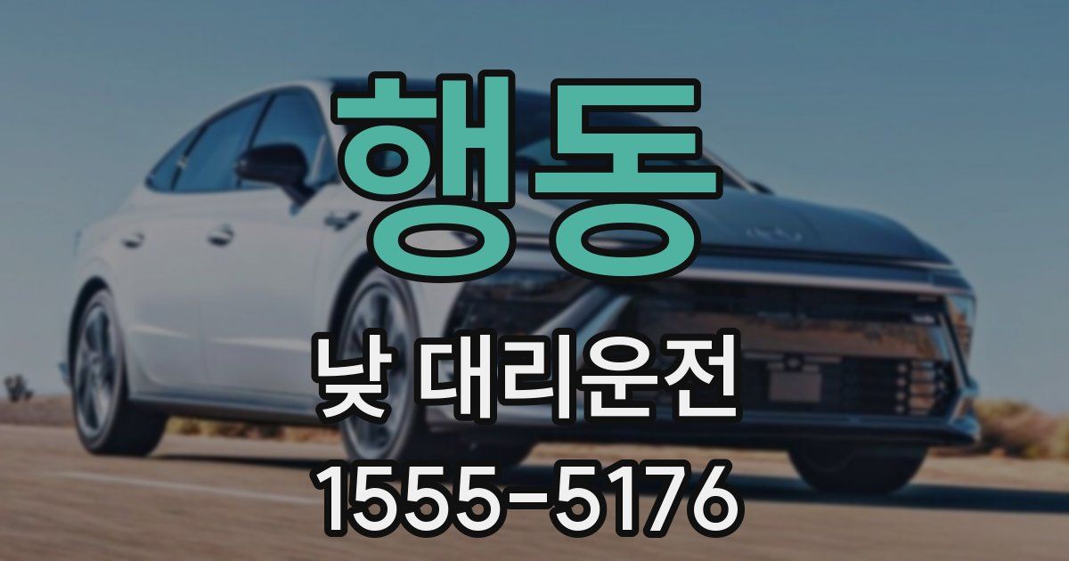 행동 낮 대리운전