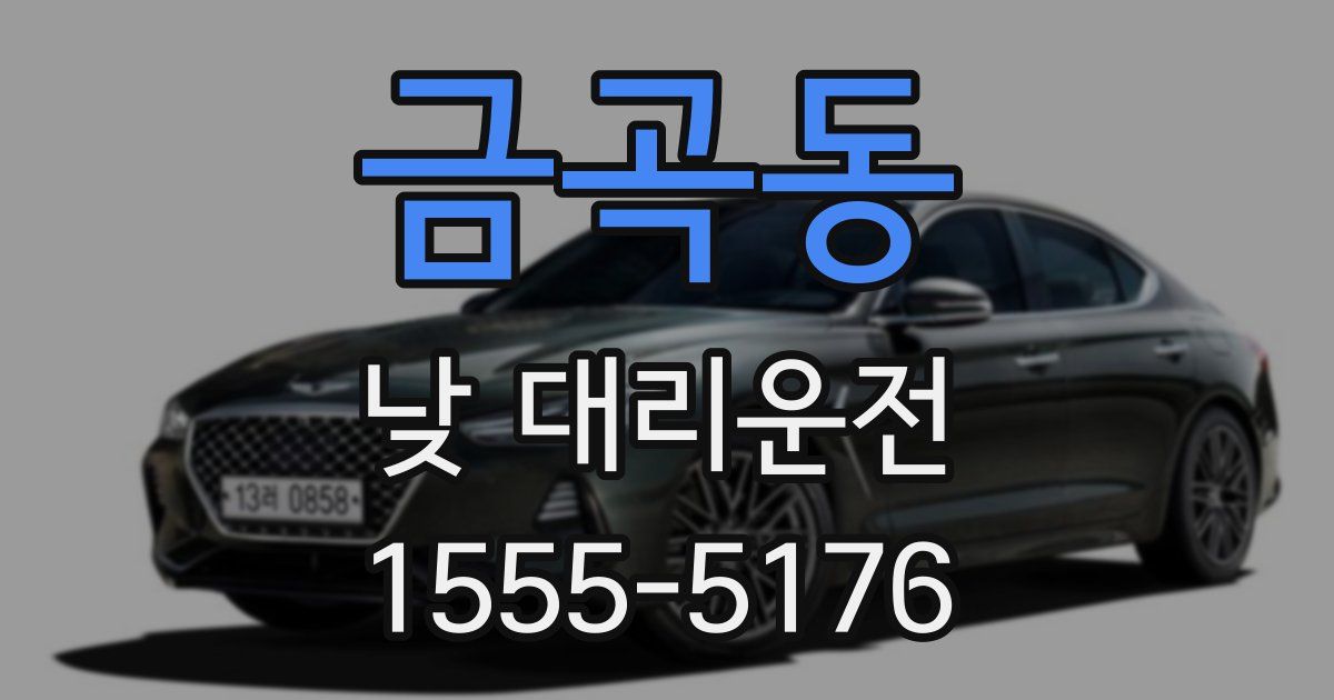 금곡동 낮 대리운전