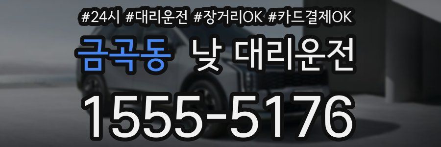 금곡동 낮 대리운전