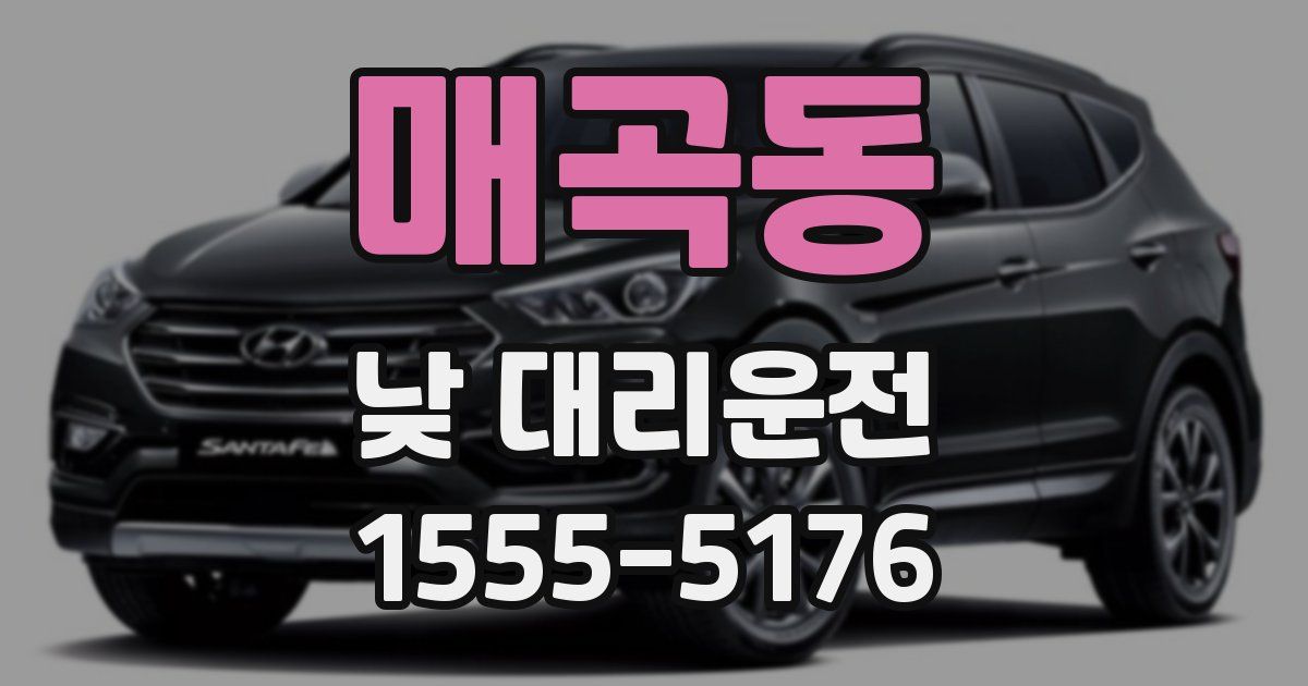 매곡동 낮 대리운전