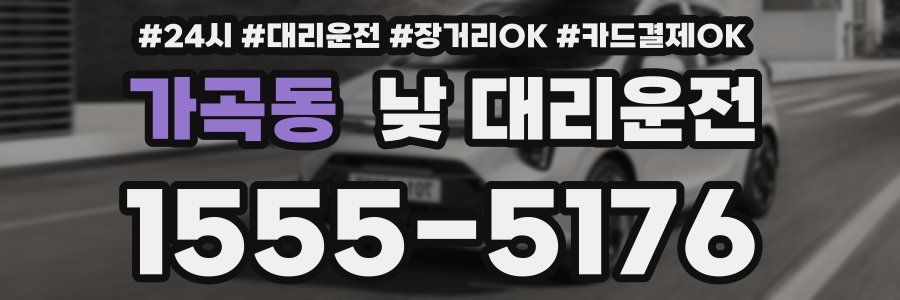 가곡동 낮 대리운전
