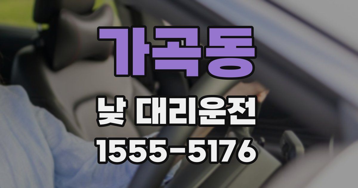 가곡동 낮 대리운전