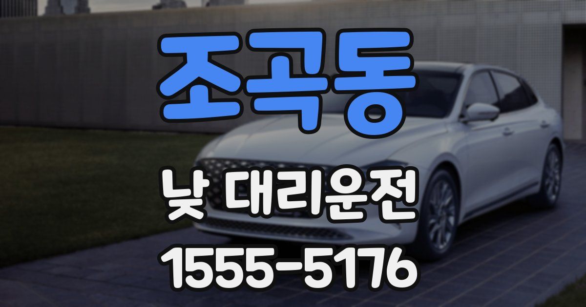 조곡동 낮 대리운전