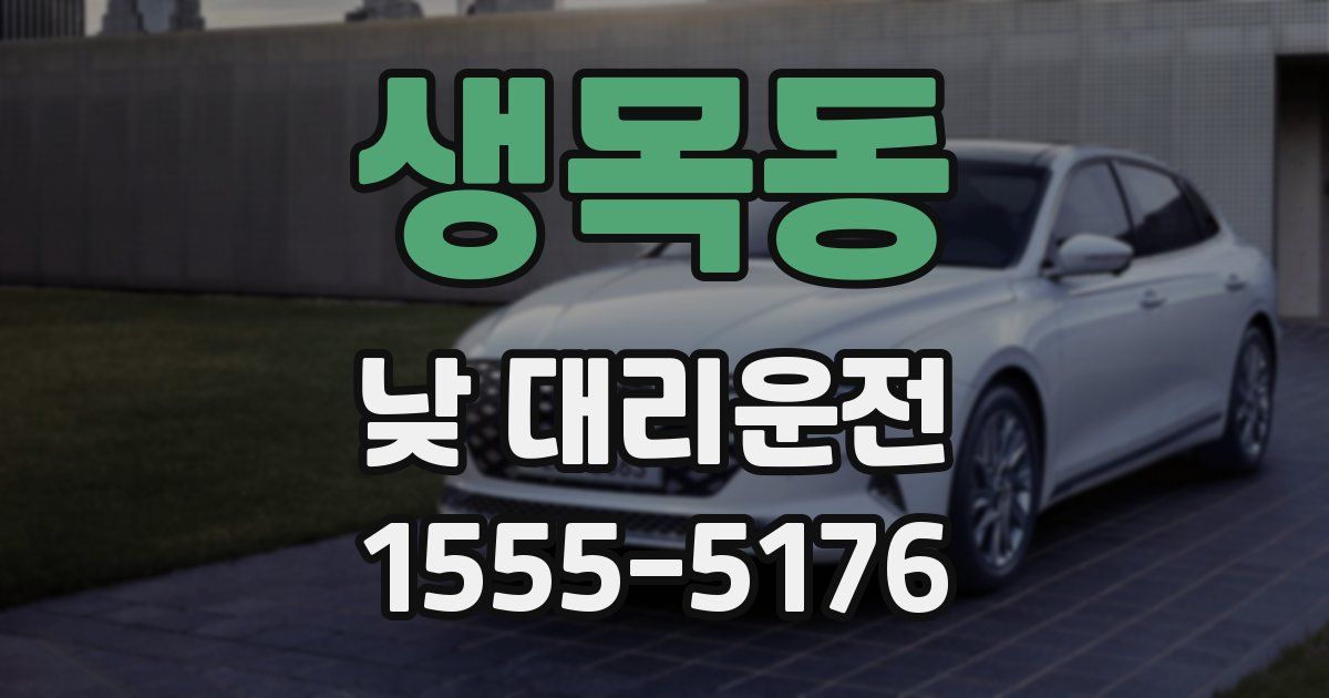 생목동 낮 대리운전