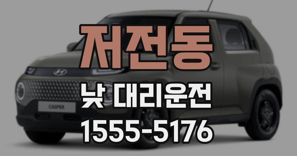 저전동 낮 대리운전