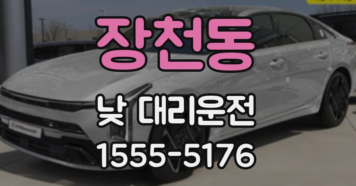 장천동 낮 대리운전