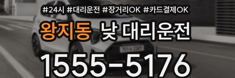 왕지동 낮 대리운전