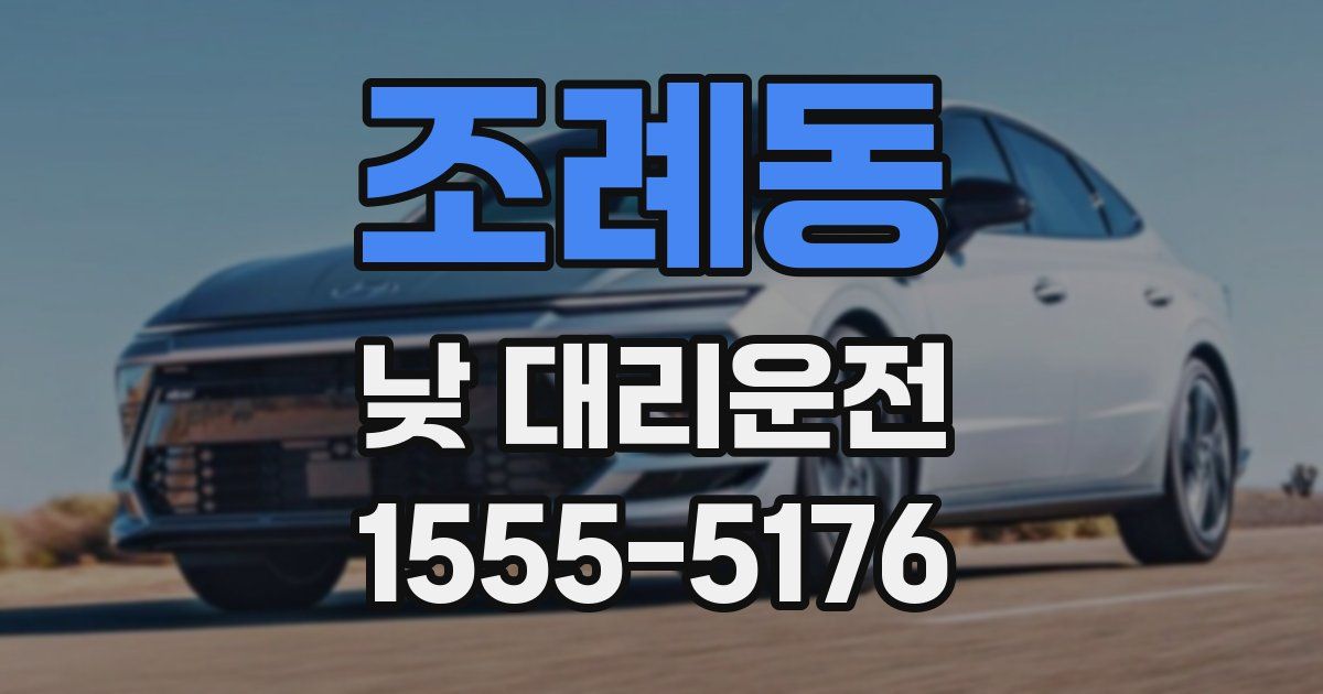 조례동 낮 대리운전
