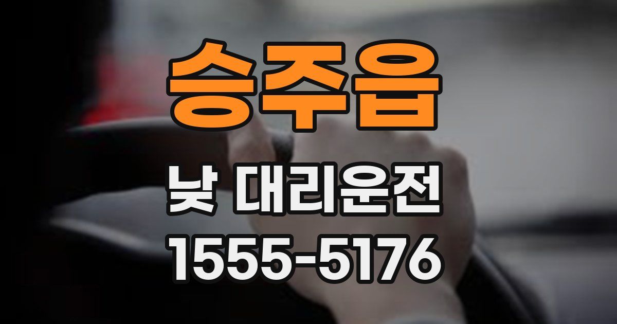 승주읍 낮 대리운전