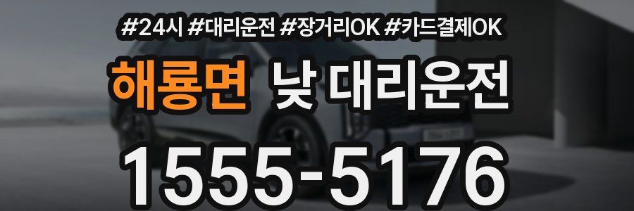 해룡면 낮 대리운전