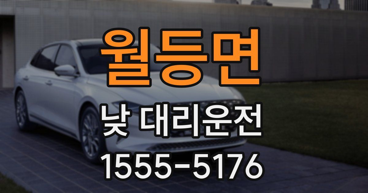 월등면 낮 대리운전