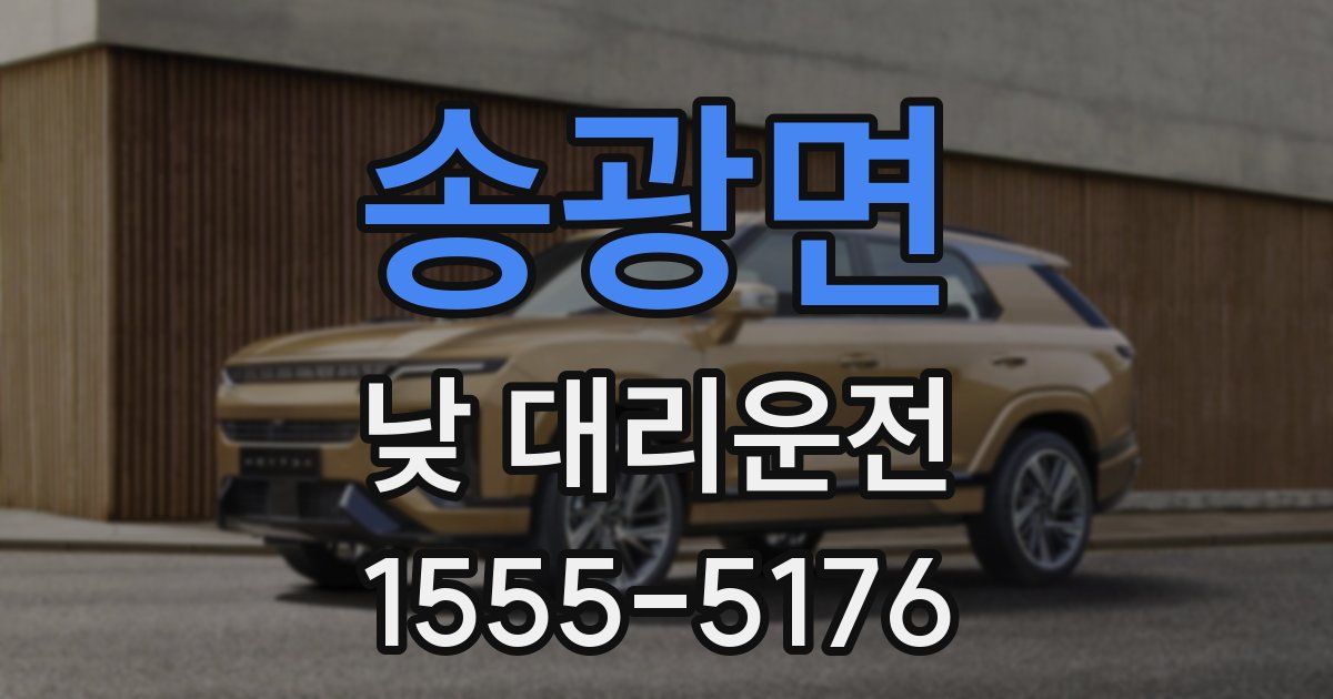송광면 낮 대리운전