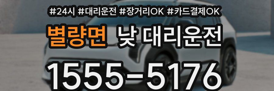 별량면 낮 대리운전