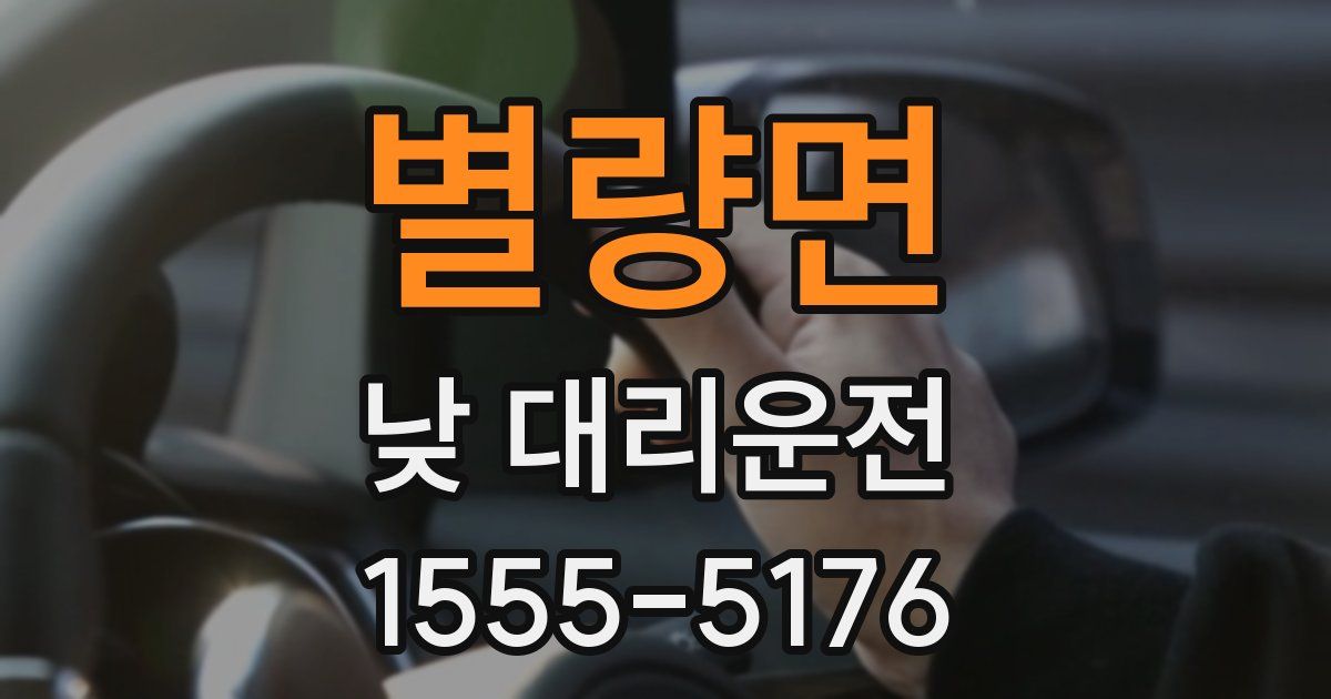 별량면 낮 대리운전