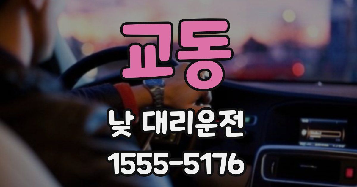 교동 낮 대리운전