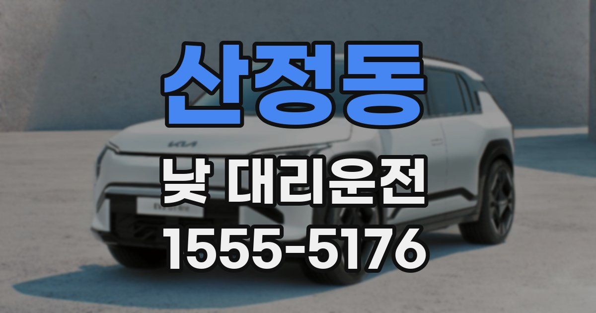 산정동 낮 대리운전