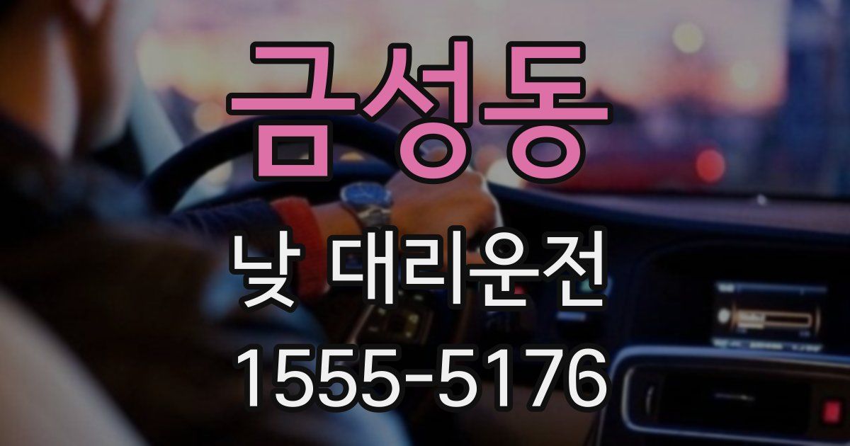 금성동 낮 대리운전