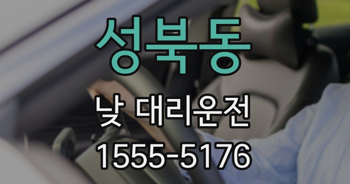 성북동 낮 대리운전
