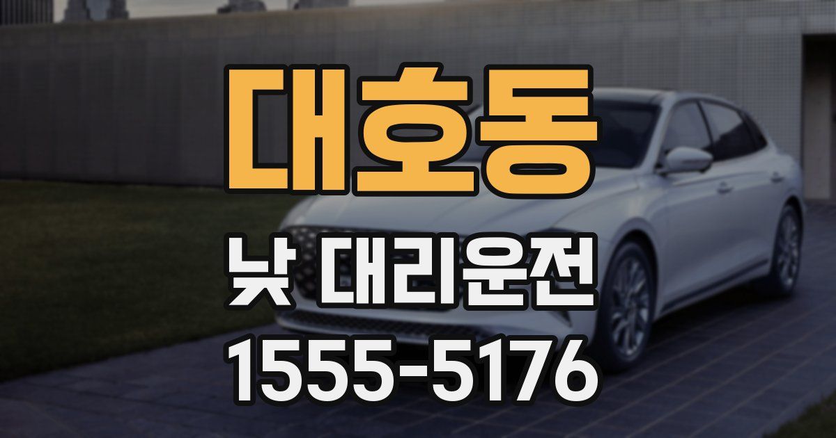 대호동 낮 대리운전