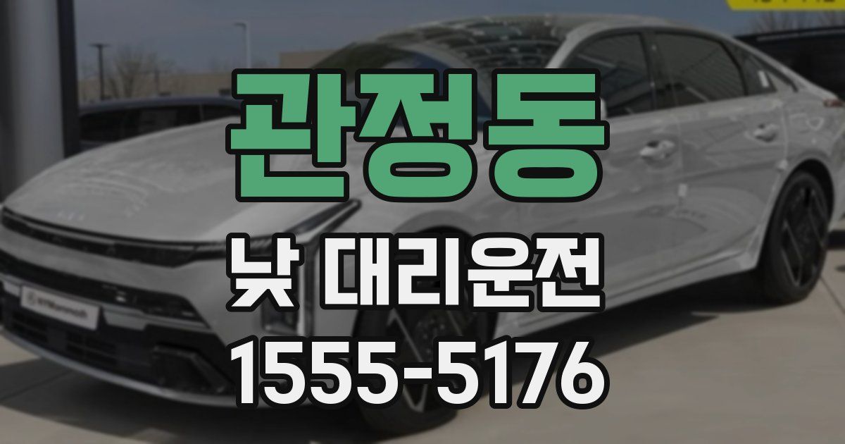 관정동 낮 대리운전
