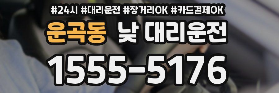 운곡동 낮 대리운전