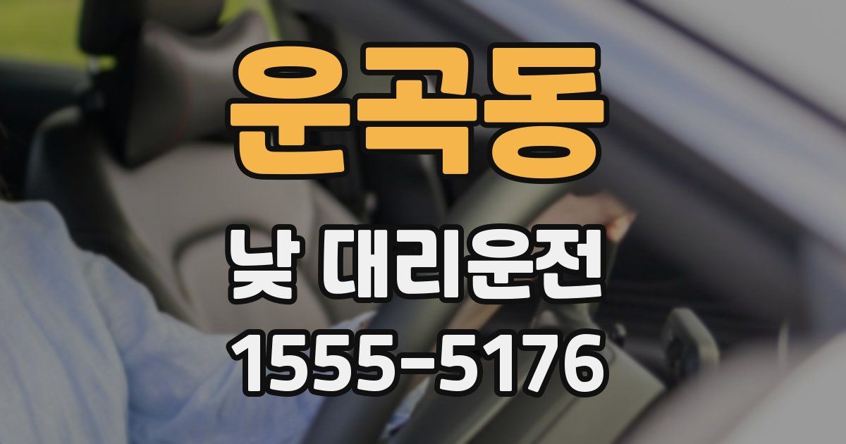운곡동 낮 대리운전