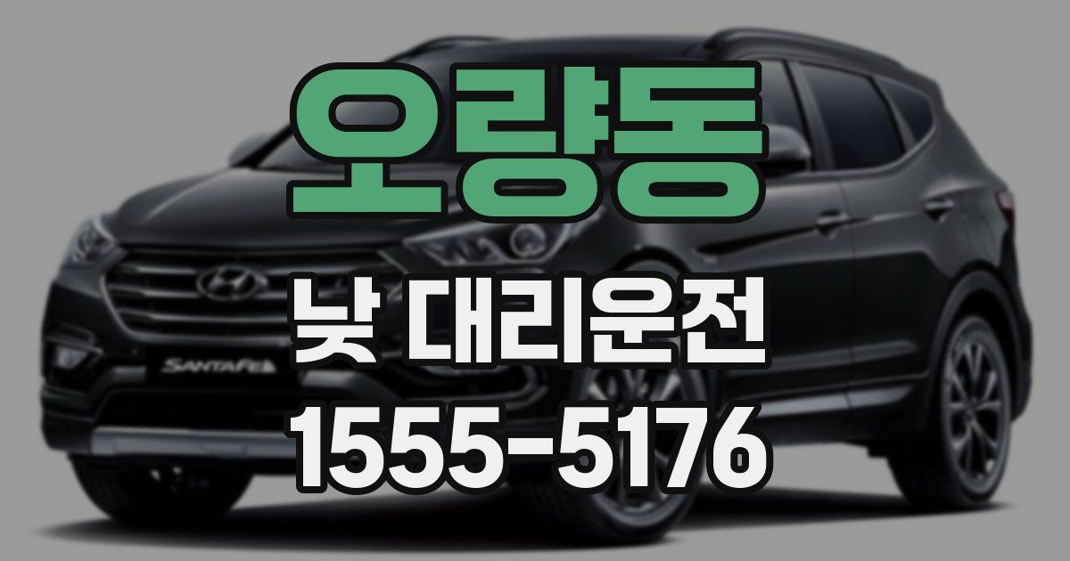 오량동 낮 대리운전